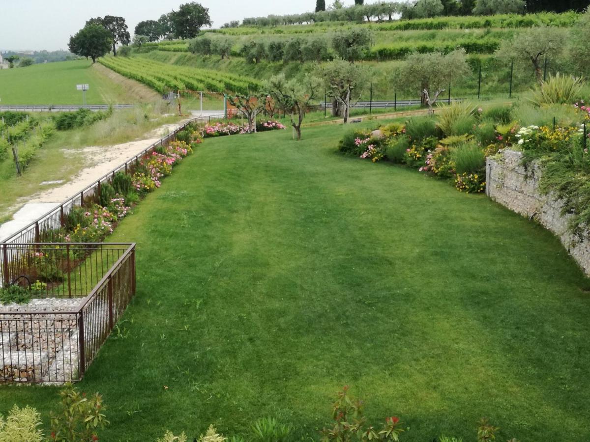 Agriturismo La Rondinella ลาซีเซ ภายนอก รูปภาพ